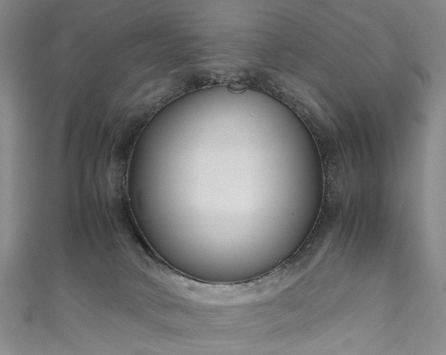 X0000111010034200906261529
