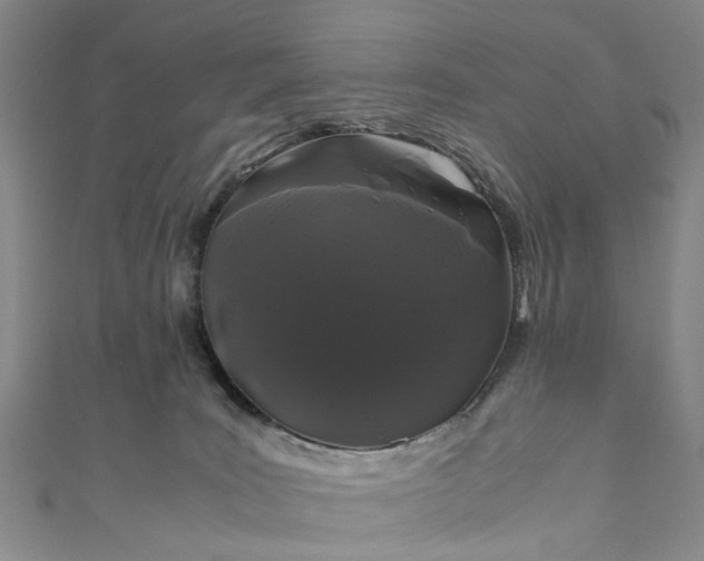 X0000111010035200906261529