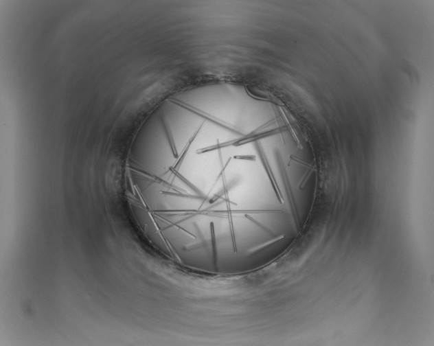 X0000111010036200906261529