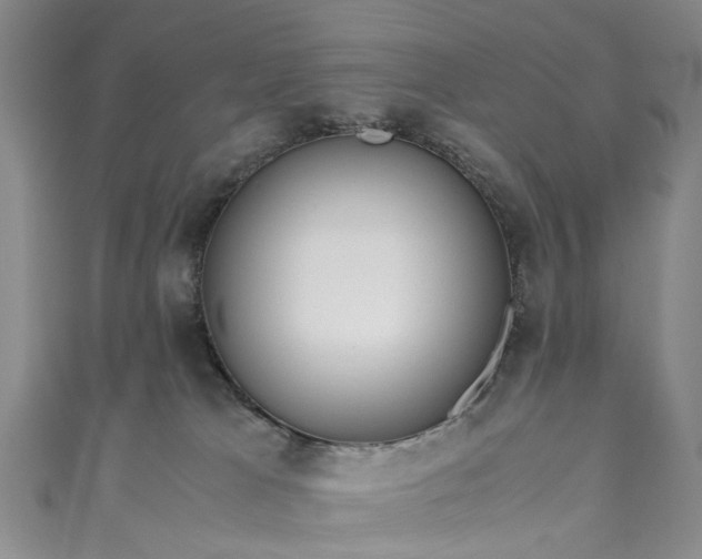 X0000111010037200906261529