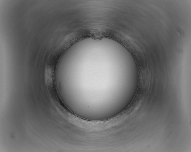 X0000111010038200906261529
