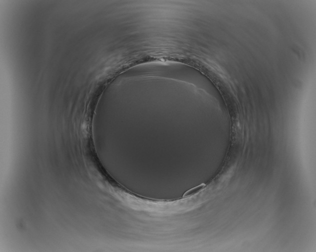 X0000111010039200906261529