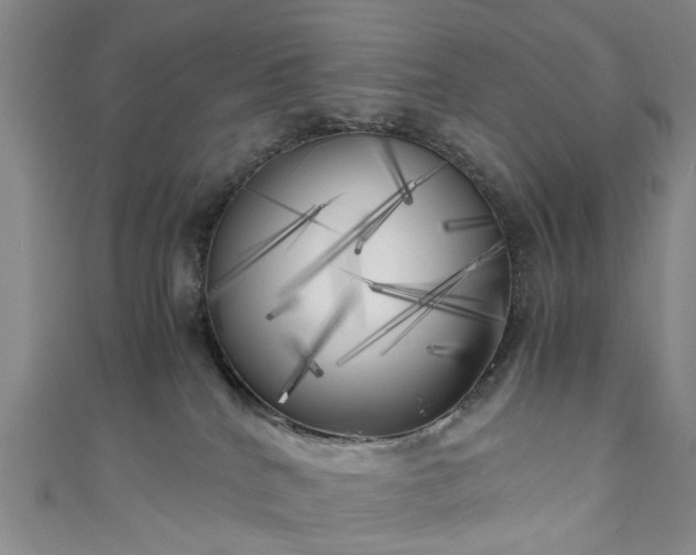 X0000111010040200906261529