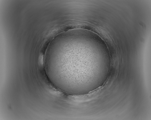 X0000111010041200906261529