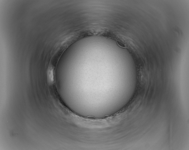 X0000111010042200906261529