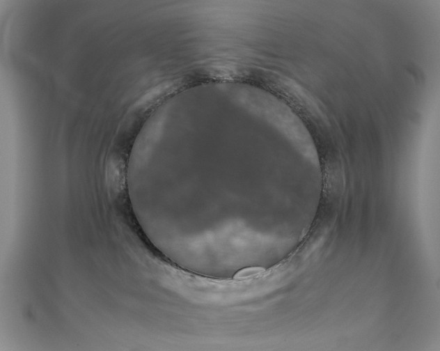 X0000111010043200906261529