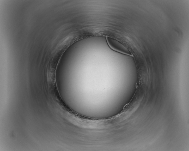 X0000111010044200906261529