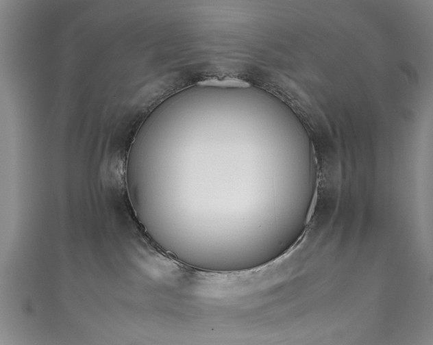 X0000111010045200906261529