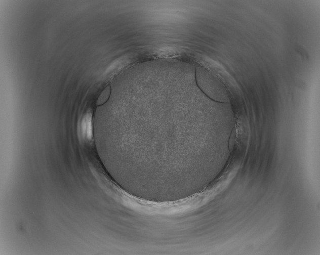 X0000111010046200906261529