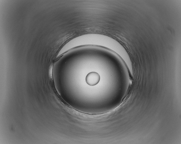X0000111010047200906261529