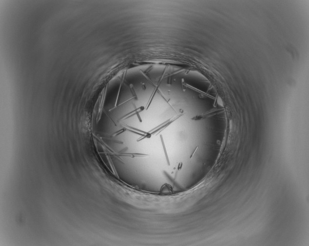 X0000111010048200906261529
