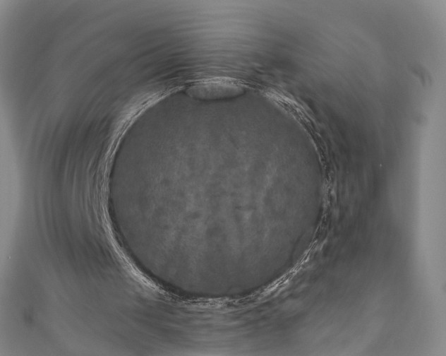 X0000111010049200906261528