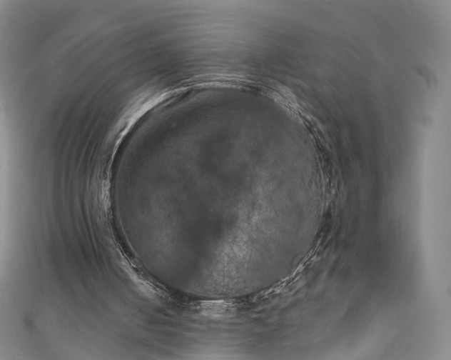 X0000111010050200906261528