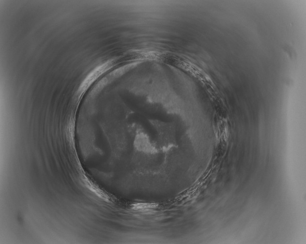X0000111010051200906261528