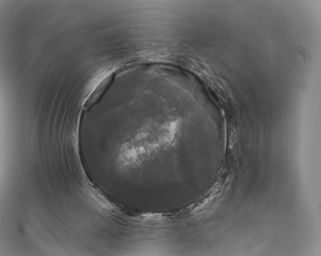 X0000111010052200906261528