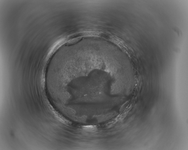 X0000111010053200906261528