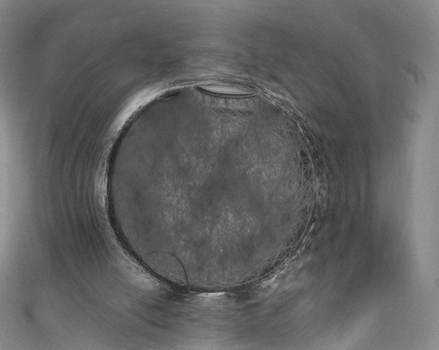 X0000111010054200906261528