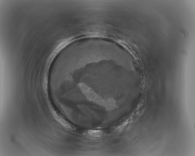 X0000111010055200906261528