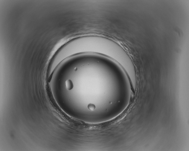 X0000111010056200906261528