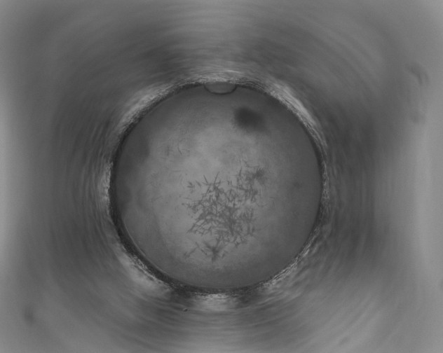 X0000111010058200906261528