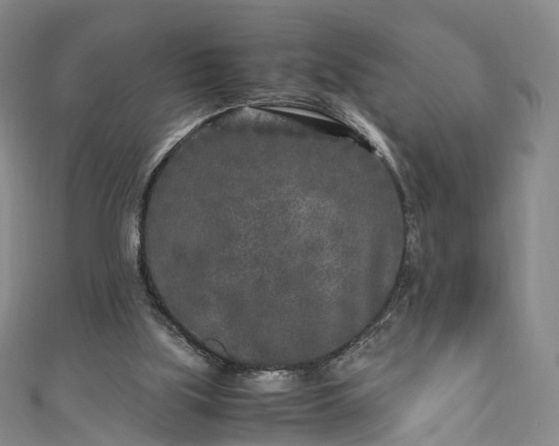X0000111010059200906261528