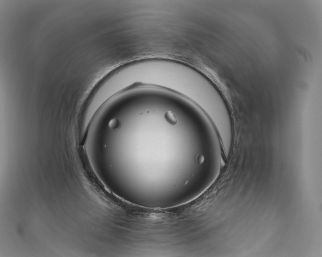 X0000111010060200906261528