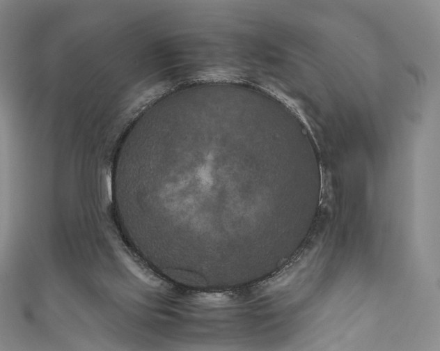 X0000111010061200906261528
