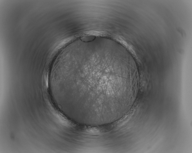 X0000111010062200906261528