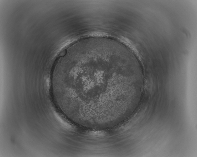 X0000111010063200906261528