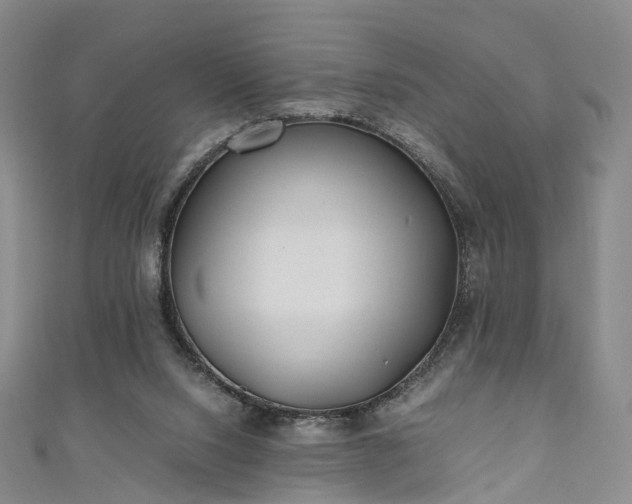 X0000111010064200906261528