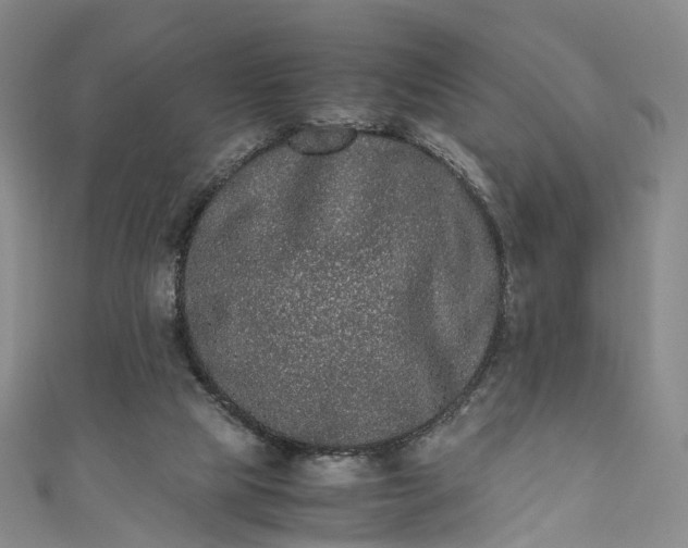 X0000111010065200906261528