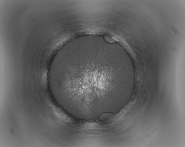 X0000111010066200906261528