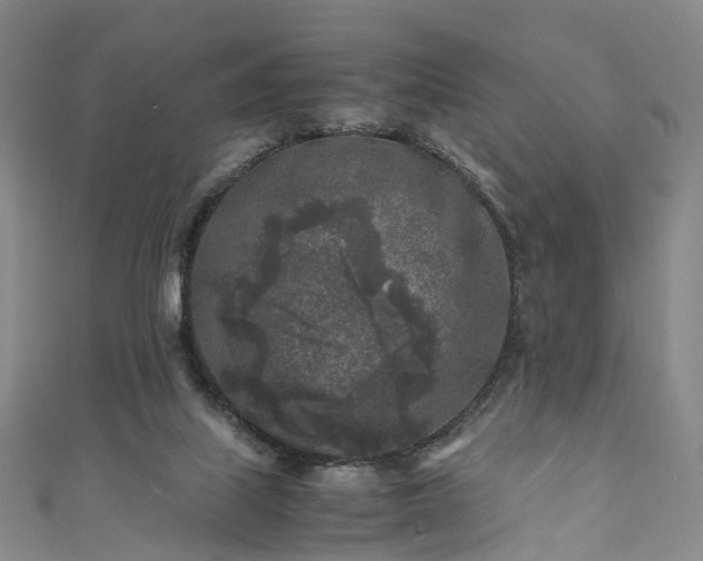 X0000111010067200906261528