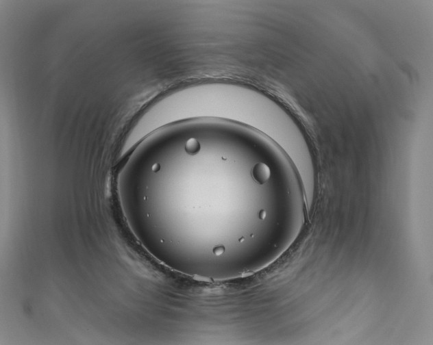 X0000111010068200906261528