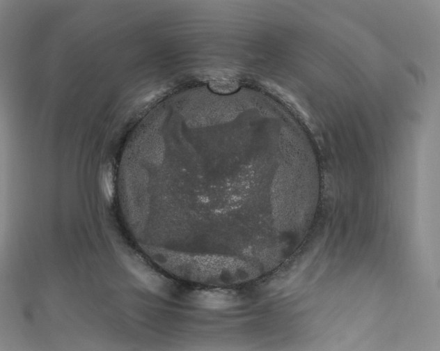X0000111010069200906261528