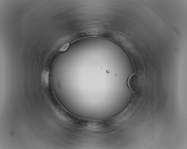 X0000111010070200906261528