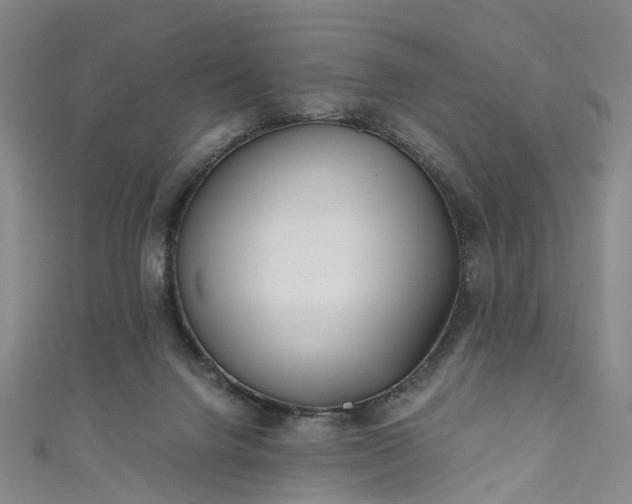 X0000111010072200906261528