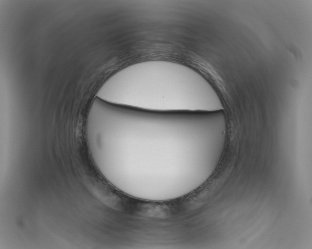 X0000111010073200906261528