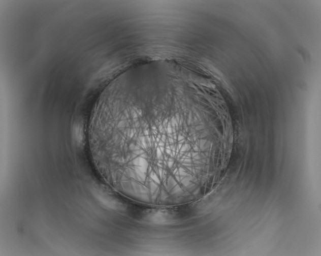 X0000111010074200906261528