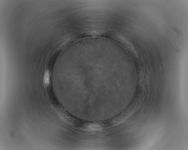 X0000111010075200906261528
