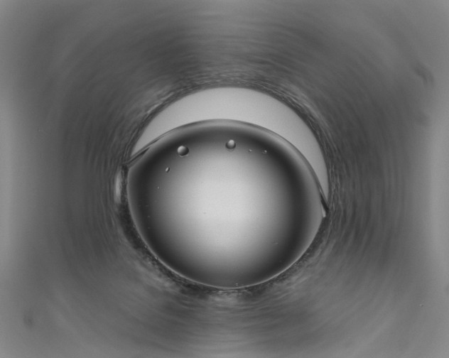 X0000111010076200906261528