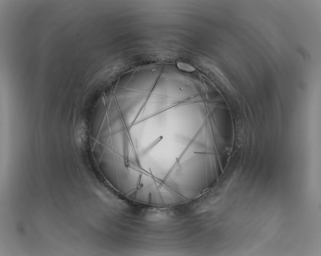 X0000111010077200906261528