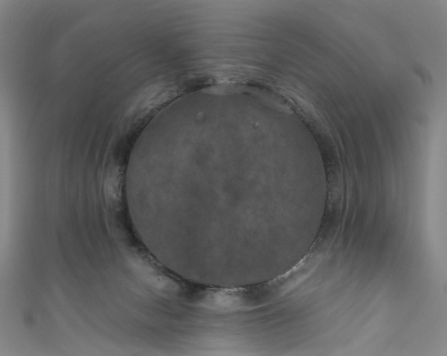 X0000111010078200906261528