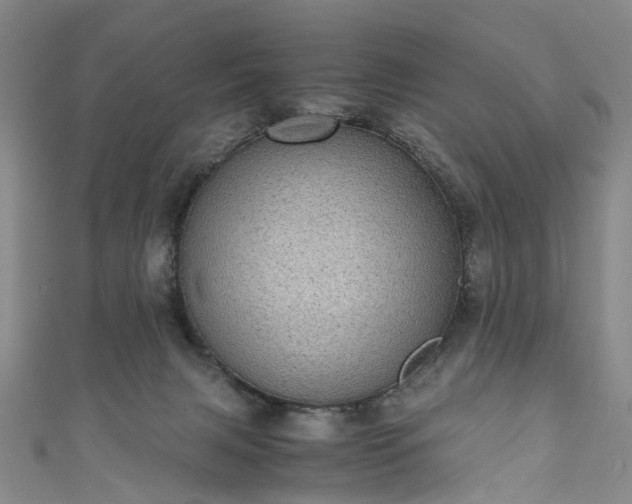 X0000111010079200906261529