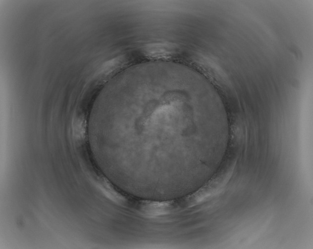 X0000111010081200906261529