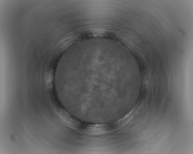 X0000111010082200906261529