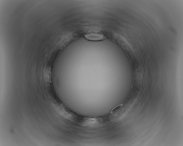 X0000111010083200906261529