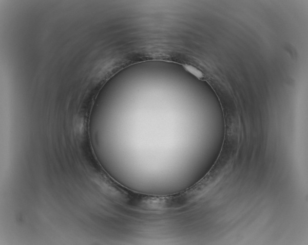 X0000111010084200906261529