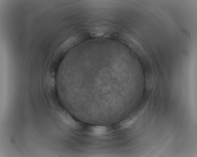 X0000111010085200906261529