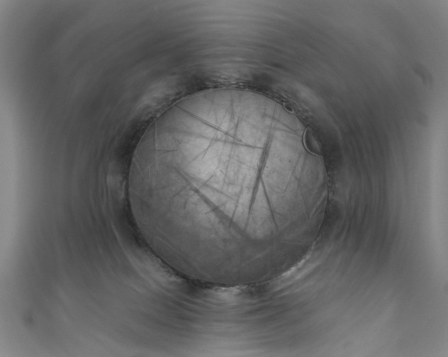 X0000111010086200906261529